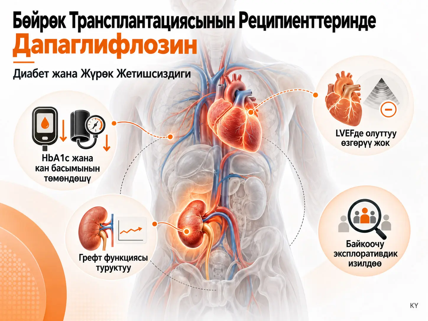 Диабет жана Жүрөк Жетишсиздиги Бар Бөйрөк Трансплантациясынын Реципиенттеринде Кошумча Дарылоо Катары Дапаглифлозин: Байкоочу Эксплоративдик Изилдөө
