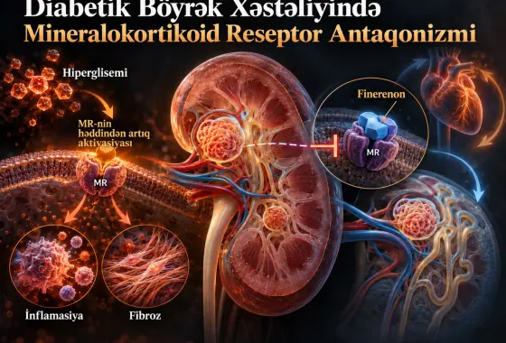 Diabetik Böyrək Xəstəliyində Mineralokortikoid Reseptor Antaqonizmi: Patofizioloji Mexanizmlərdən Klinik Paradiqma Dəyişikliklərinə