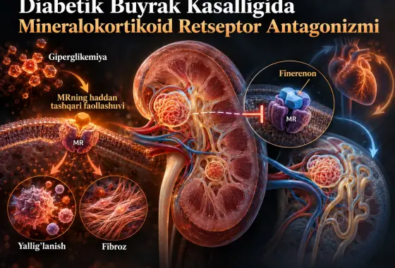 Diabetik Buyrak Kasalligida Mineralokortikoid Retseptor Antagonizmi: Patofiziologik Mexanizmlardan Klinik Paradigma Oʻzgarishlarigacha