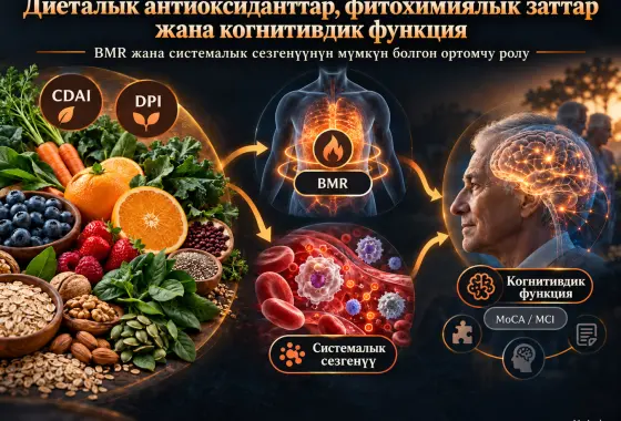 Диеталык Антиоксидант жана Фитохимиялык Индекстердин Когнитивдик Функция менен Байланышы: Базалдык Метаболизм Ылдамдыгы жана Системалык Сезгенүүнүн Ортомчулук Ролдору