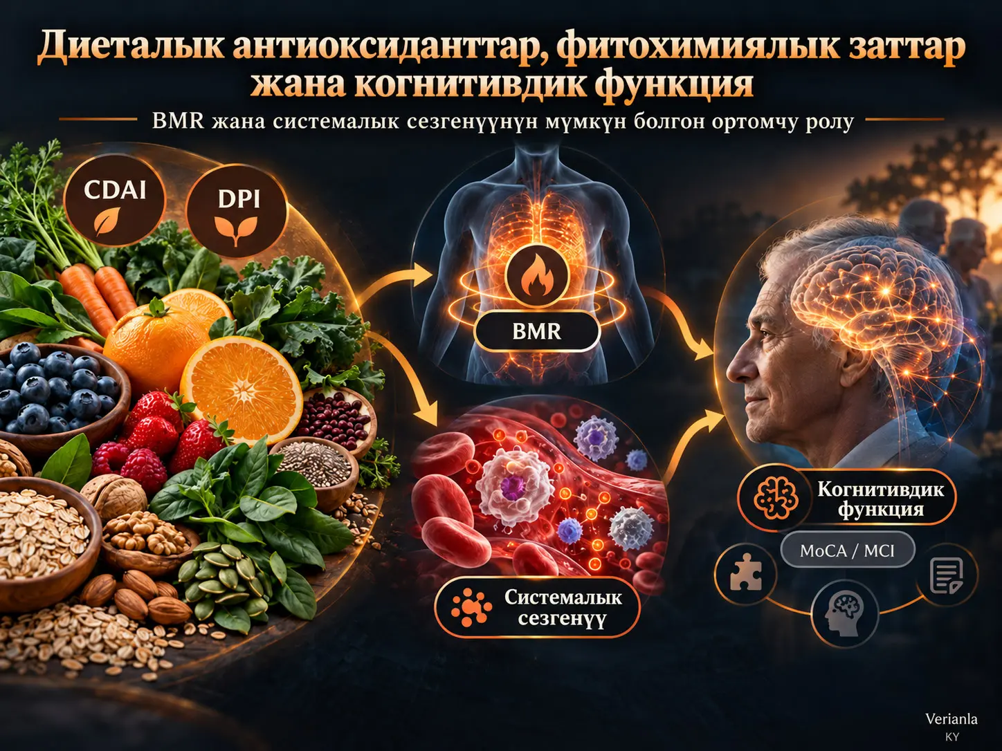 Диеталык Антиоксидант жана Фитохимиялык Индекстердин Когнитивдик Функция менен Байланышы: Базалдык Метаболизм Ылдамдыгы жана Системалык Сезгенүүнүн Ортомчулук Ролдору