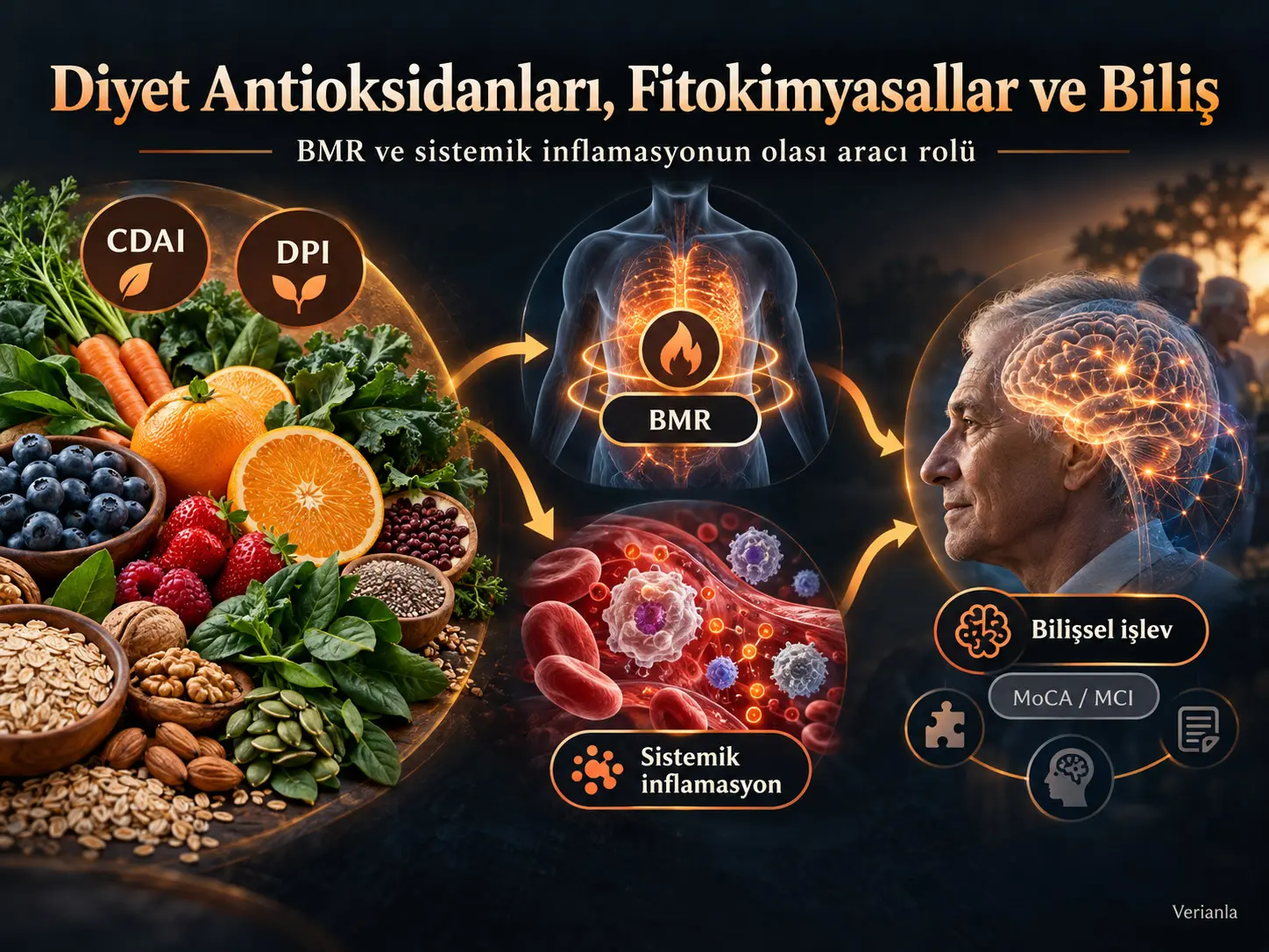 Diyet Antioksidan ve Fitokimyasal İndekslerinin Bilişsel İşlevle İlişkileri: Bazal Metabolizma Hızı ve Sistemik İnflamasyonun Aracılık Rolleri
