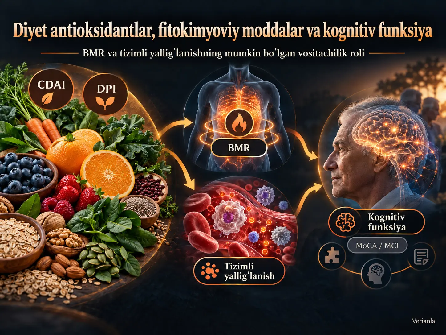 Diyet Antioksidant va Fitokimyoviy Indekslarining Kognitiv Funksiya bilan Bogʻliqligi: Bazal Metabolizm Tezligi va Tizimli Yalligʻlanishning Vositachilik Rollari