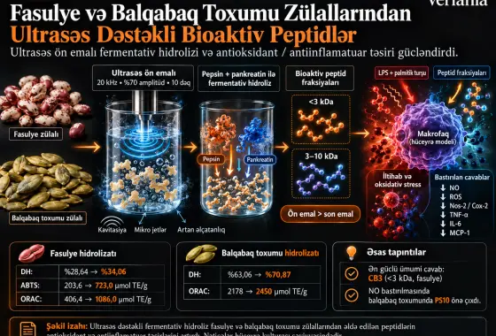 Fasulye və Balqabaq Toxumu Zülallarından Ultrasəs Dəstəkli Fermentativ Hidrolizatlar: Antioksidant və Antiinflamatuar Xüsusiyyətlər