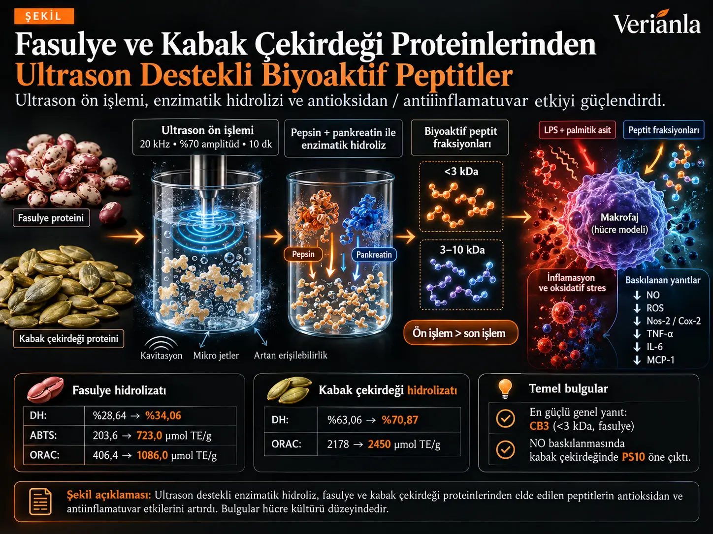 Fasulye ve Kabak Çekirdeği Proteinlerinden Ultrason Destekli Enzimatik Hidrolizatlar: Antioksidan ve Antiinflamatuvar Özellikler