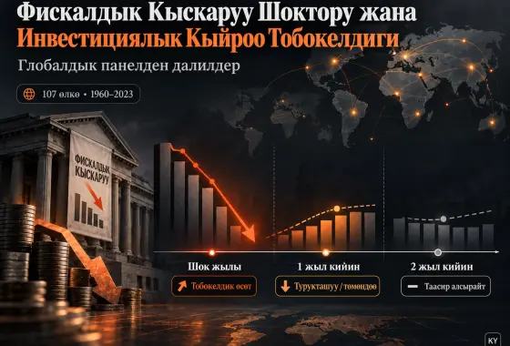 Фискалдык Кыскаруу Шоктору Инвестициялык Кыйроолорду Козгойбу? Глобалдык Панелден Далилдер