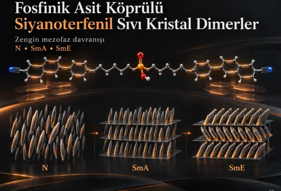 Fosfinik Asit Köprü Grubuyla İşlevselleştirilmiş Siyanoterfenil Tabanlı Sıvı Kristal Dimerler