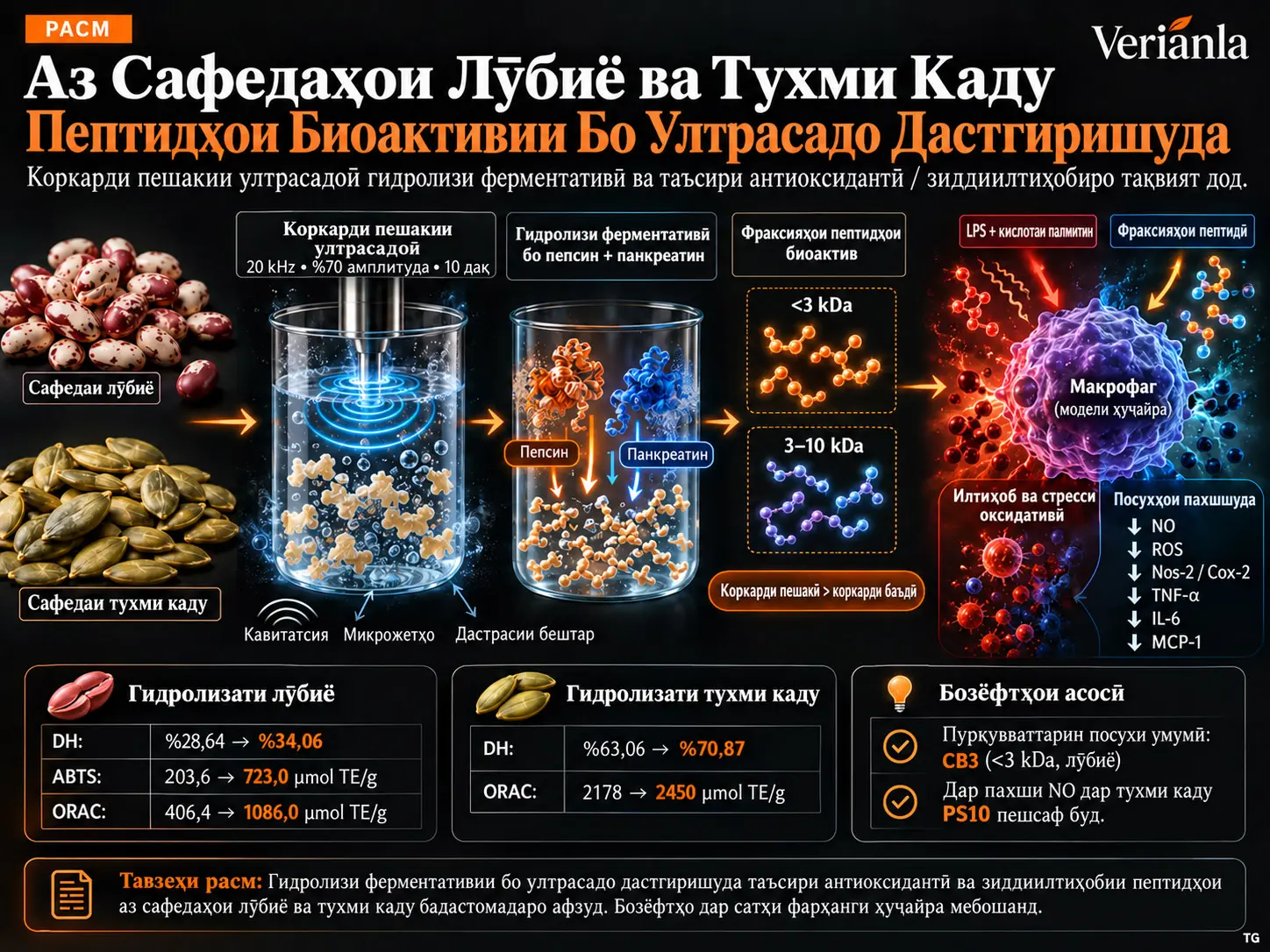 Гидролизатҳои Ферментативии Бо Ултрасадо Дастгиришуда Аз Сафедаҳои Лӯбиё ва Тухми Каду: Хусусиятҳои Антиоксидантӣ ва Зиддиилтиҳобӣ