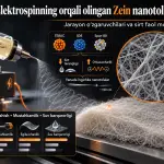 Glatsial Sirka Kislotasi Eritmalaridan Elektrospinning Orqali Olingan Zein Nanotolalarining Hosil Bo‘lishi va Xossalari: Jarayon O‘zgaruvchilari va Sirt Faol Moddalarning Ta’siri