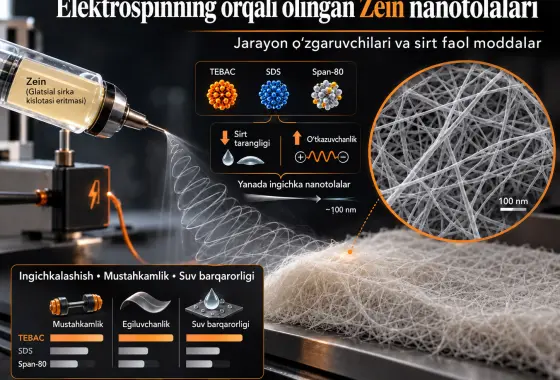 Glatsial Sirka Kislotasi Eritmalaridan Elektrospinning Orqali Olingan Zein Nanotolalarining Hosil Bo‘lishi va Xossalari: Jarayon O‘zgaruvchilari va Sirt Faol Moddalarning Ta’siri