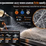 Глациалдык Уксус Кислотасынын Эритмелеринен Электроспиннинг Жолу Менен Алынган Зеин Нанобулаларынын Түзүлүшү жана Касиеттери: Процесс Өзгөрмөлөрүнүн жана Беттик-Активдүү Заттардын Таасири