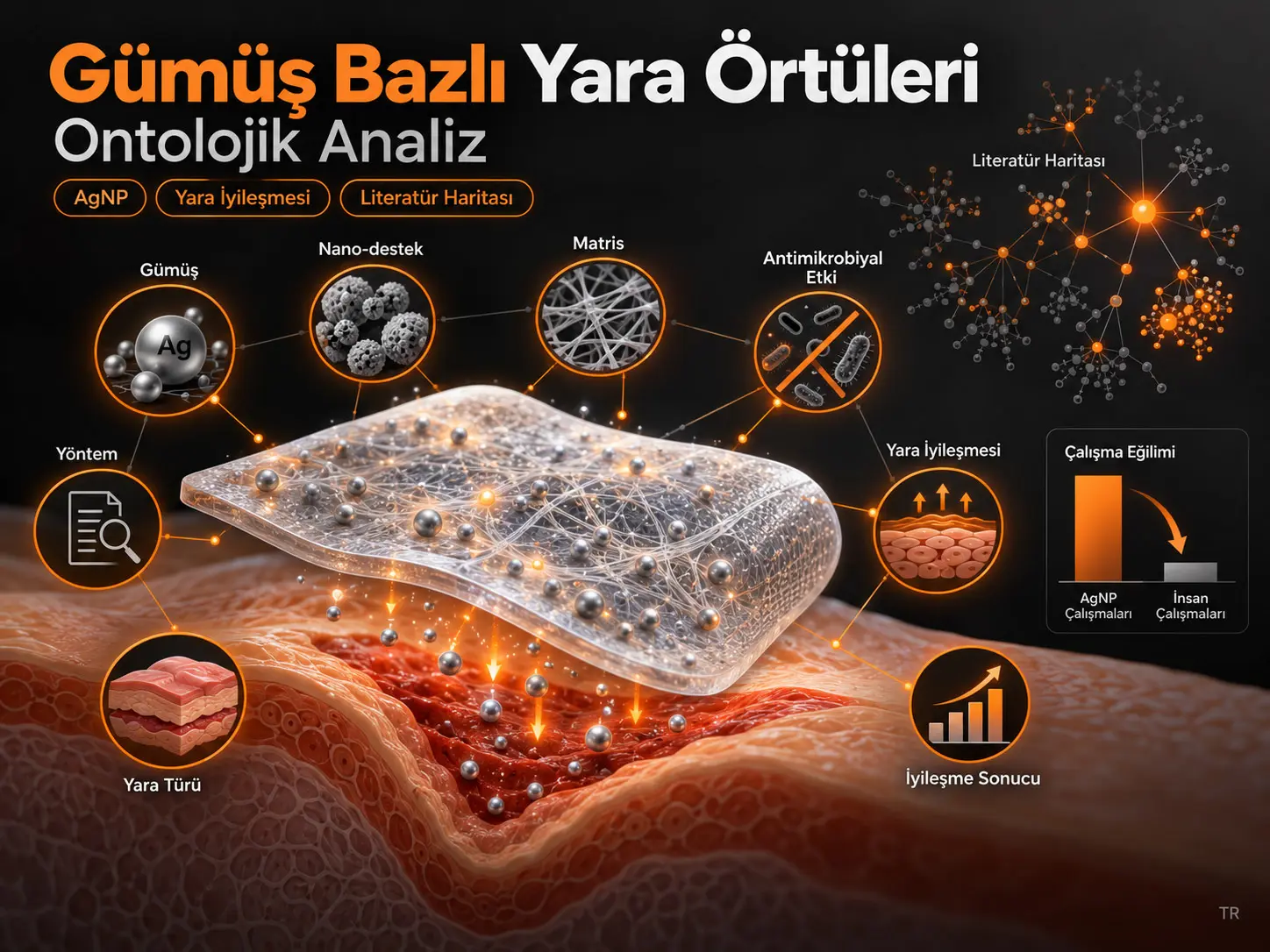 Gümüş Bazlı Yara Örtüsü Araştırmaları: Ontolojik Bir Analiz