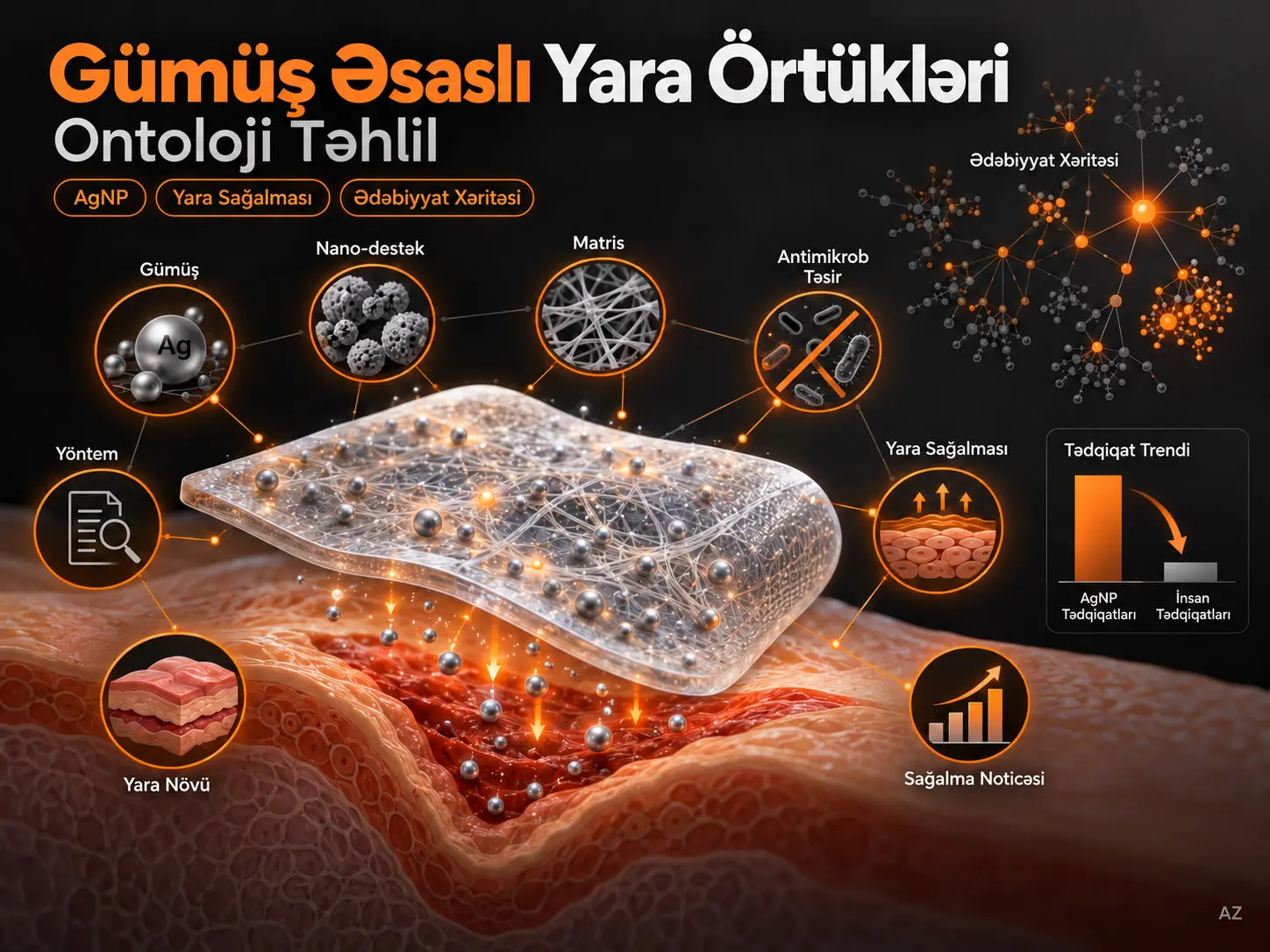 Gümüş Əsaslı Yara Örtüyü Araşdırmaları: Ontoloji Təhlil