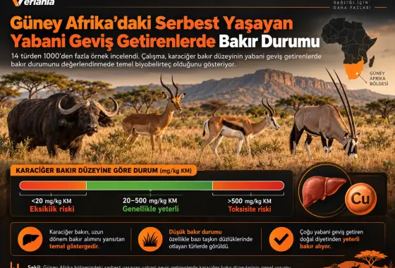 Güney Afrika Bölgesindeki Serbest Yaşayan Yabani Geviş Getirenlerin Bakır Beslenme Durumu