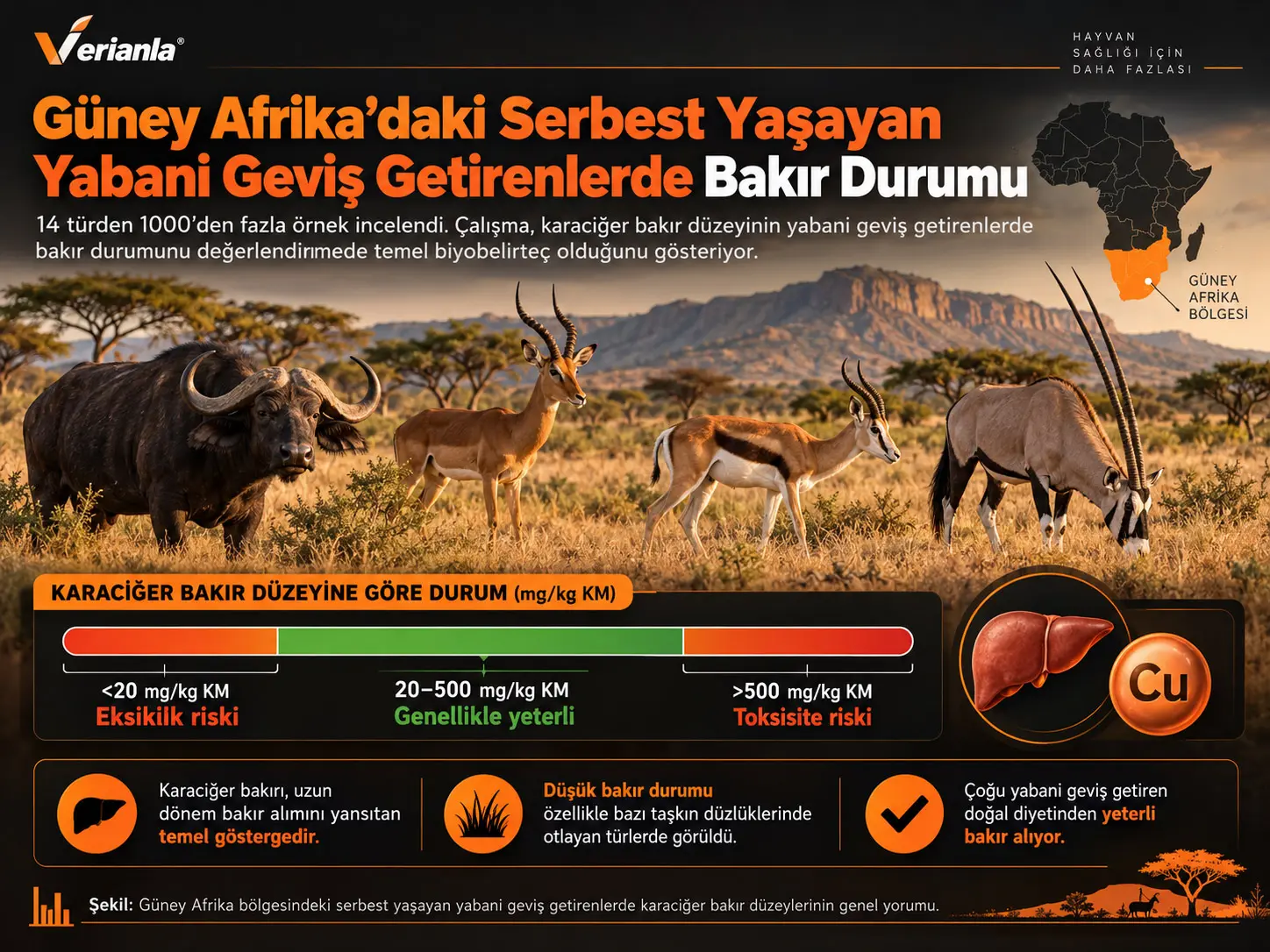 Güney Afrika Bölgesindeki Serbest Yaşayan Yabani Geviş Getirenlerin Bakır Beslenme Durumu