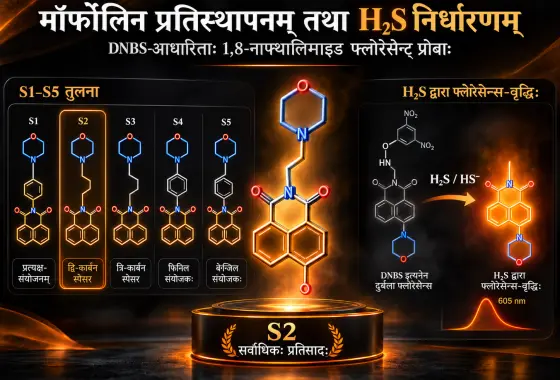 H₂S-अभिज्ञानार्थं DNBS-आधारितेषु 1,8-Naphthalimide Fluorescence Probes इत्येषु Morpholine Substitution इत्यस्य प्रभावः