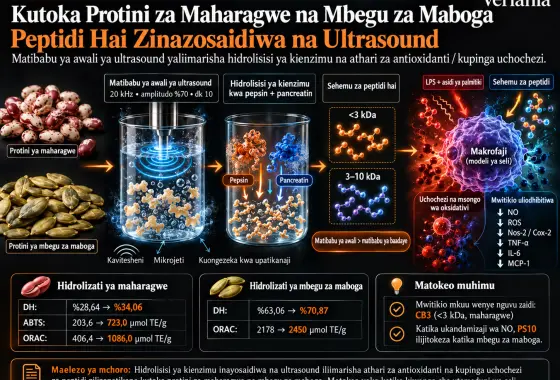 Hidrolizati za Kienzimu Zinazosaidiwa na Ultrasound kutoka Protini za Maharagwe na Mbegu za Maboga: Sifa za Antioxidanti na Kupinga Uchochezi