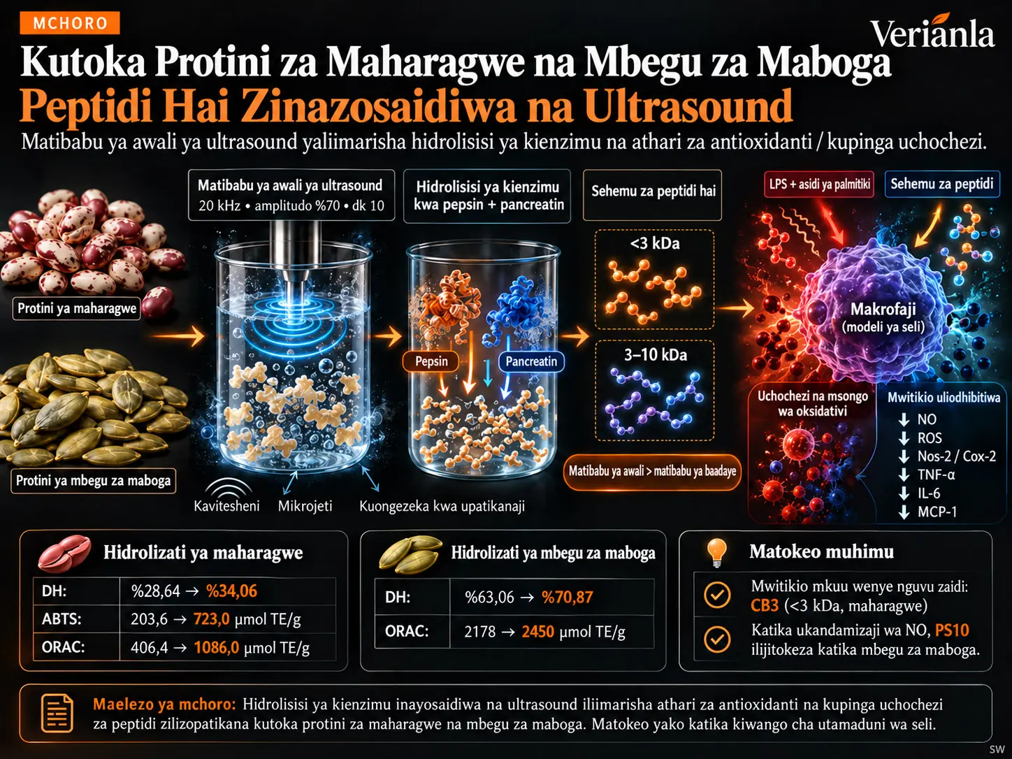 Hidrolizati za Kienzimu Zinazosaidiwa na Ultrasound kutoka Protini za Maharagwe na Mbegu za Maboga: Sifa za Antioxidanti na Kupinga Uchochezi