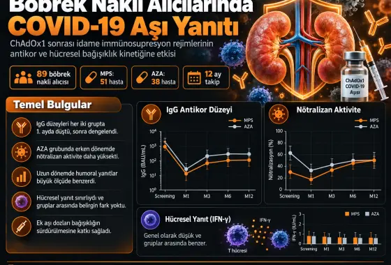 İdame İmmünosupresyon Rejiminin, Primer Aşılama Olarak ChAdOx1 Alan Böbrek Nakli Alıcılarında Anti-SARS-CoV-2 Antikor ve Hücresel Bağışıklık Kinetiğine Etkisi