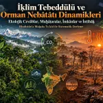 İḳlîm Tebeddülü ve Orman Nebâtâtı Dinamikleri: Ekolojik Cevâblar, Muḫâṭaralar, İmkânlar ve İntibâḳ