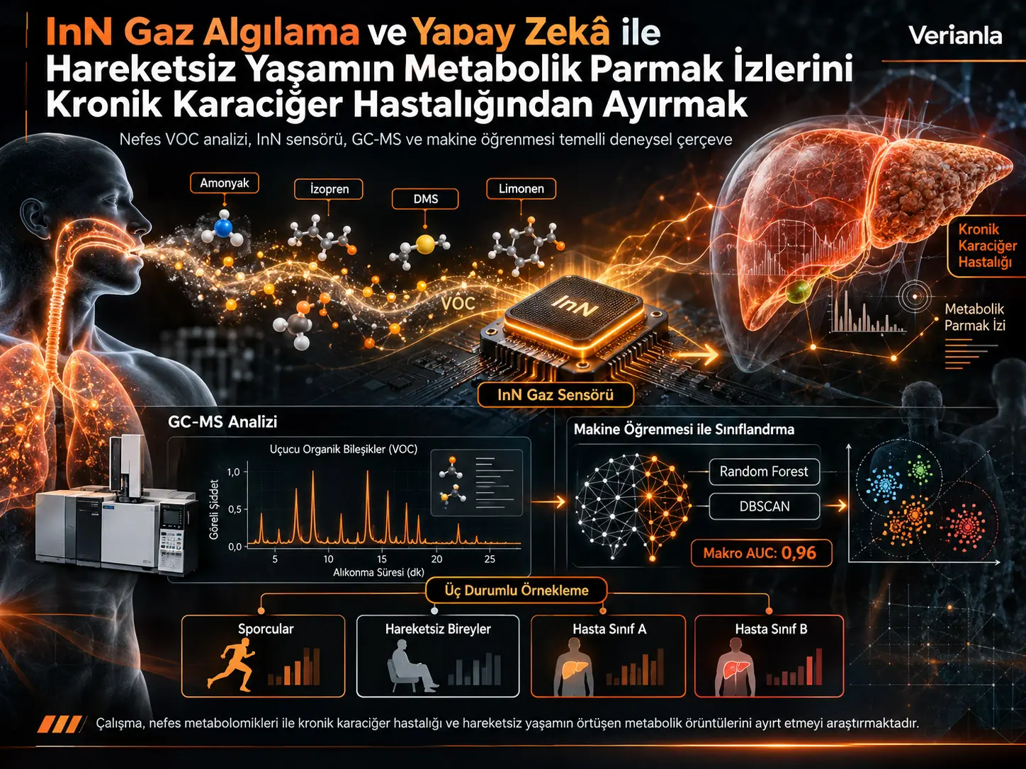 InN Gaz Algılama ve Yapay Zekâ ile Hareketsiz Yaşamın Metabolik Parmak İzlerini Kronik Karaciğer Hastalığından Ayırmak