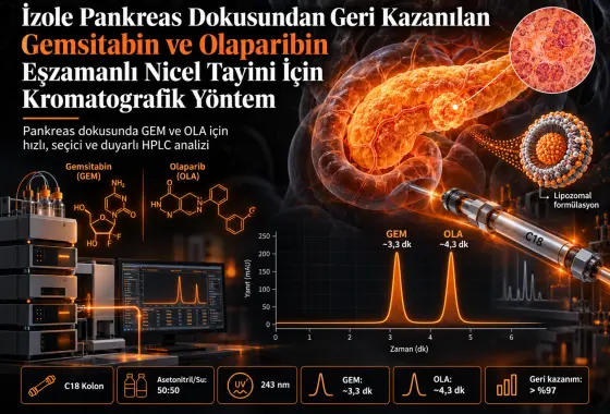 İzole Pankreas Dokusundan Geri Kazanılan Gemsitabin ve Olaparibin Eşzamanlı Nicel Tayini için Kromatografik Yöntem