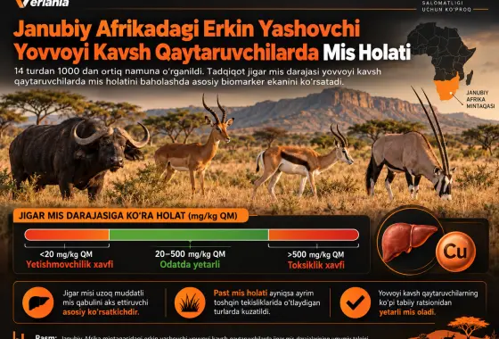 Janubiy Afrika Mintaqasidagi Erkin Yashovchi Yovvoyi Kavsh Qaytaruvchilarning Mis Bilan Oziqlanish Holati