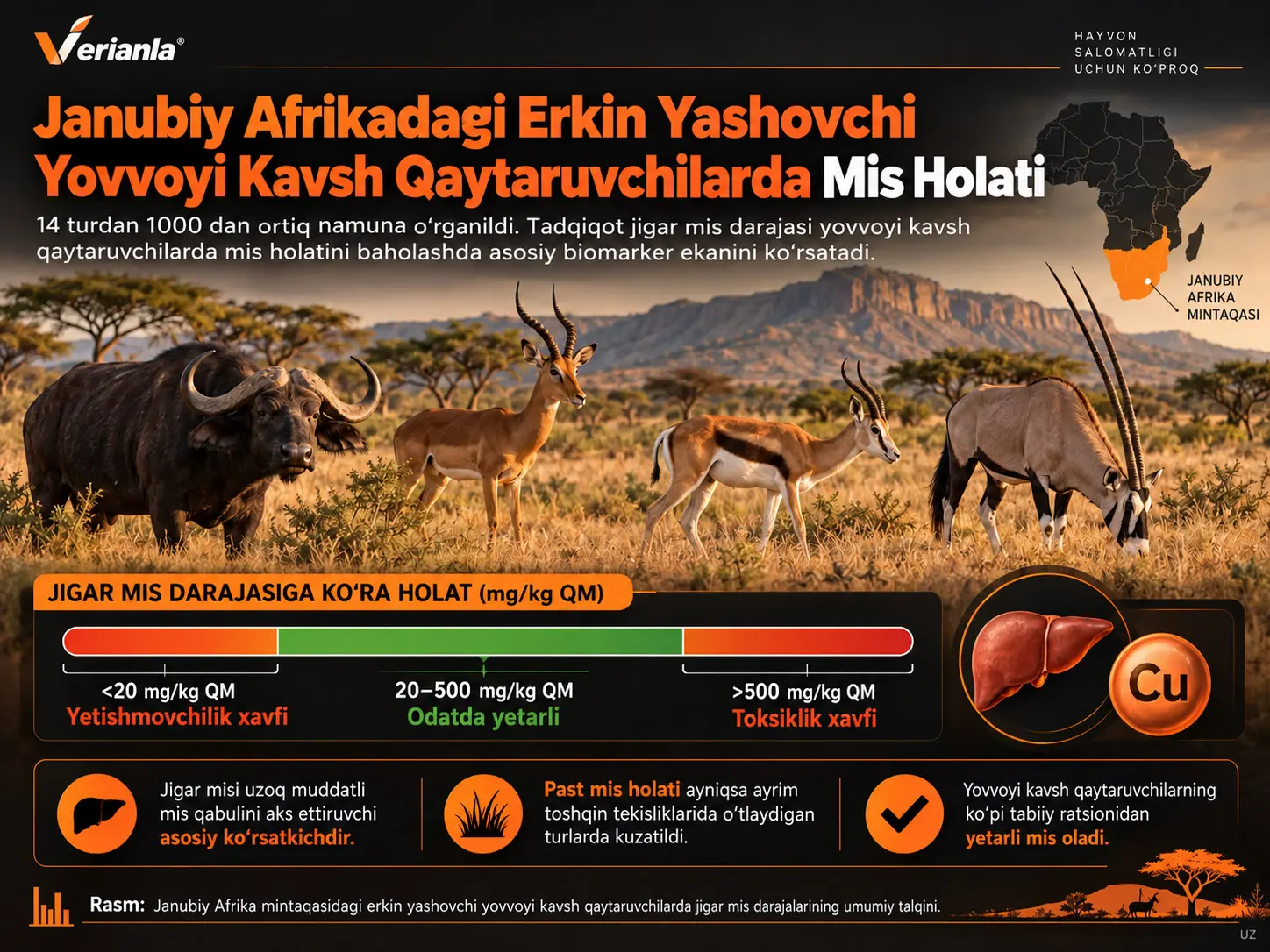 Janubiy Afrika Mintaqasidagi Erkin Yashovchi Yovvoyi Kavsh Qaytaruvchilarning Mis Bilan Oziqlanish Holati