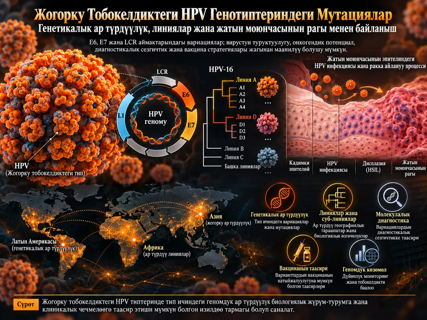 Жогорку Коркунучтуу Адам Папилломавирусунун (HPV) Генотиптериндеги Мутациялар: Генетикалык Ар Түрдүүлүк жана Жатын Моюнчасынын Рагы Менен Байланышы