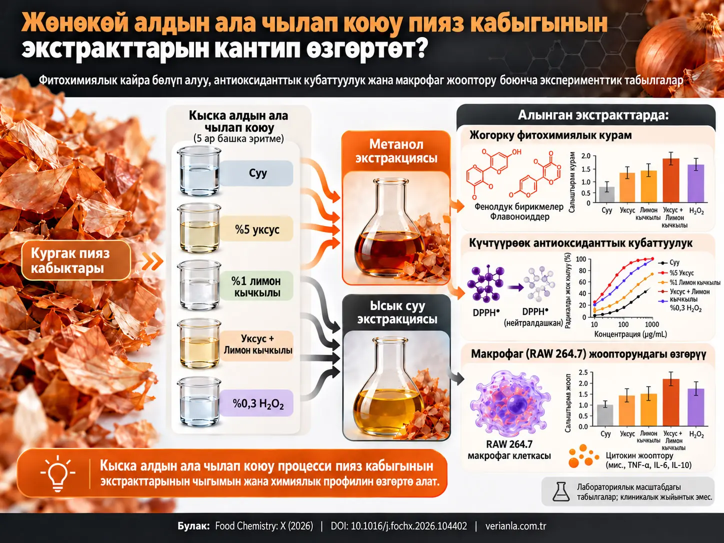 Жөнөкөй Алдын Ала Чылап Коюунун Пияз Кабыгынын Экстракттарындагы Фитохимиялык Кайра Бөлүп Алууга, Антиоксиданттык Кубаттуулукка жана Макрофаг Жоопторуна Таасири
