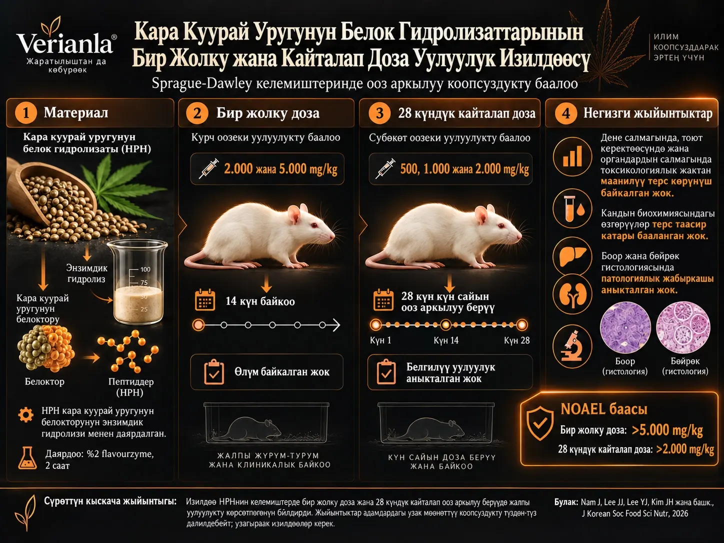Кара Куурай Уругунун Белок Гидролизаттарынын Бир Жолку жана Кайталап Доза Уулуулук Изилдөөсү
