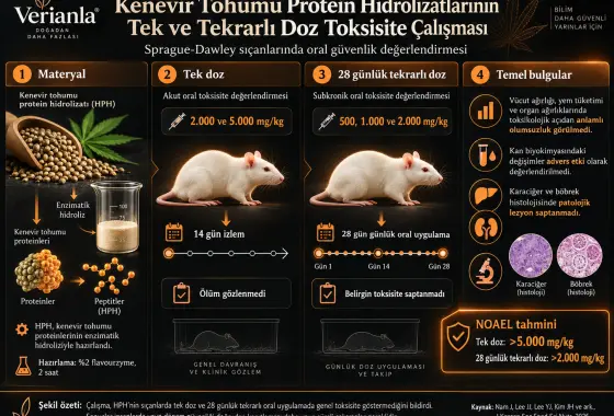 Kenevir Tohumu Protein Hidrolizatlarının Tek ve Tekrarlı Doz Toksisite Çalışması