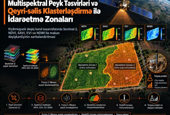Kiçikmiqyaslı Dəqiq Kənd Təsərrüfatında Multispektral Peyk Təsvirləri və Qeyri-səlis C-Ortalamalar Klasterləşdirilməsi ilə İnteqrə Edilmiş İdarəetmə Zonalarının Sərhədləndirilməsi