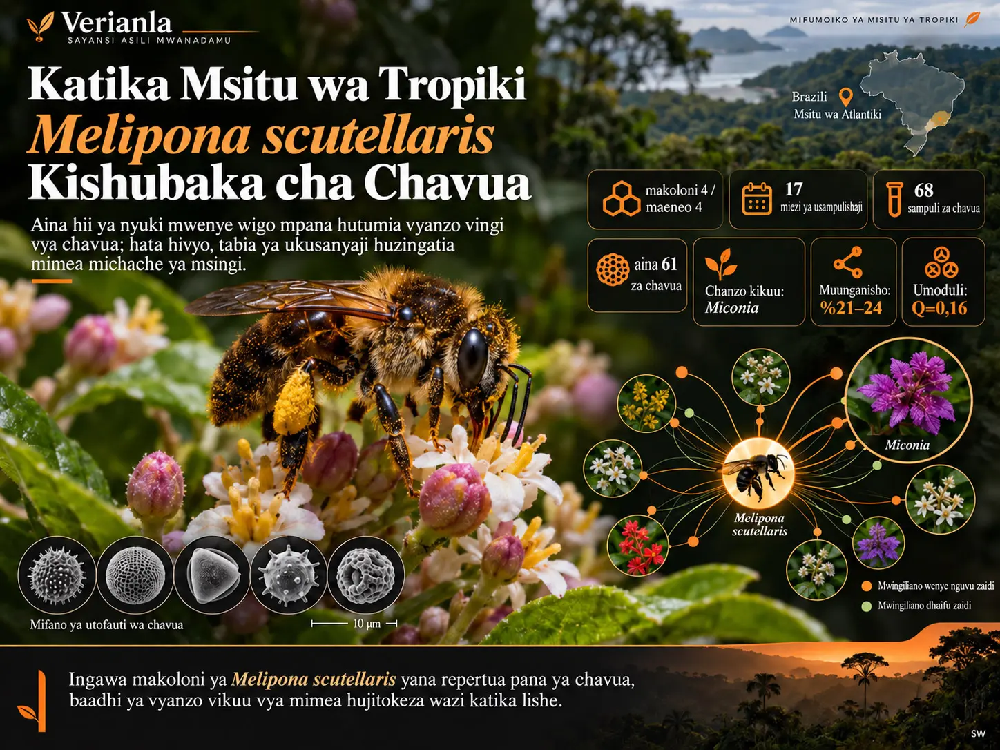 Kishubaka cha Chavua cha Melipona (Michmelia) scutellaris Latreille, 1811 katika Msitu wa Tropiki: Mtazamo wa Palinolojia