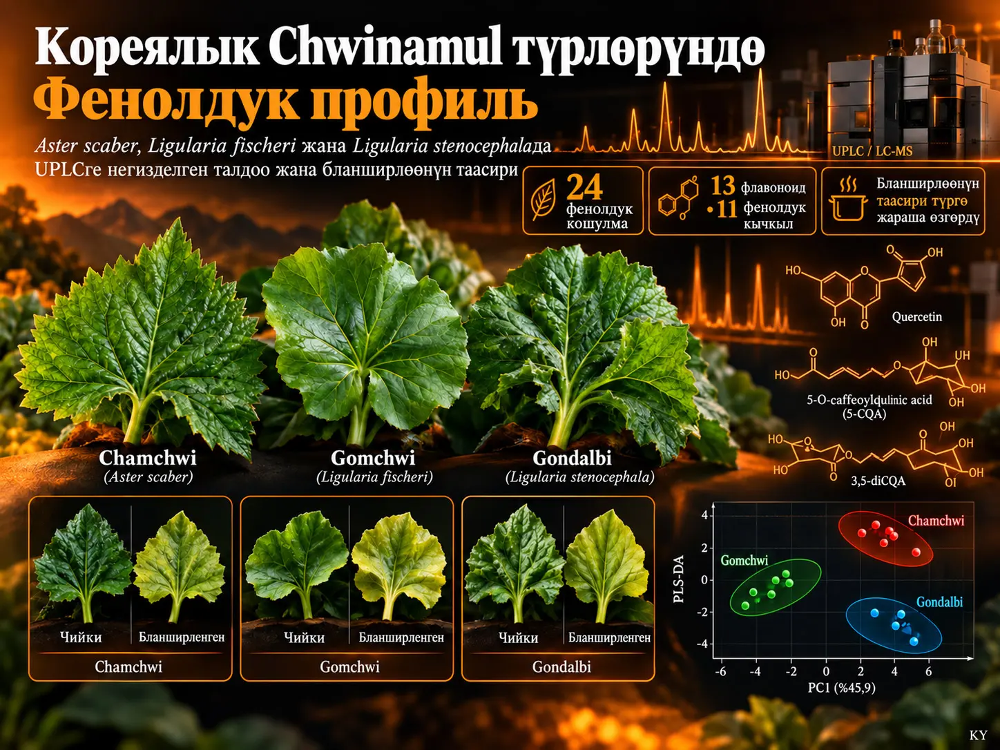 Кореялык Chwinamul жашылчаларындагы фенолдук профиль: Chamchwi, Gomchwi жана Gondalbiни UPLC-масс-спектрометриясы менен салыштыруу жана бланширлөөнүн таасири