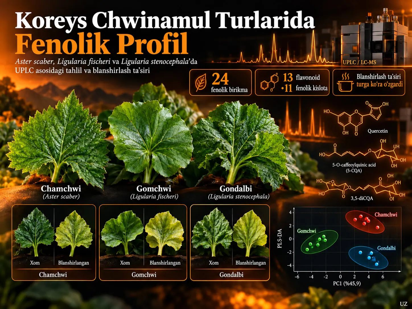 Koreys Chwinamul Sabzavotlarining Fenolik Profili: Chamchwi, Gomchwi va Gondalbi’ni UPLC-Mass-spektrometriya bilan Taqqoslash va Blanshirlash Ta’siri