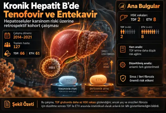 Kronik Hepatit B'de Tenofovir ve Entekavir: Güney Brezilya'daki Üçüncü Basamak Bir Hastanede Hepatoselüler Karsinom Riski Üzerine Retrospektif Kohort Çalışması