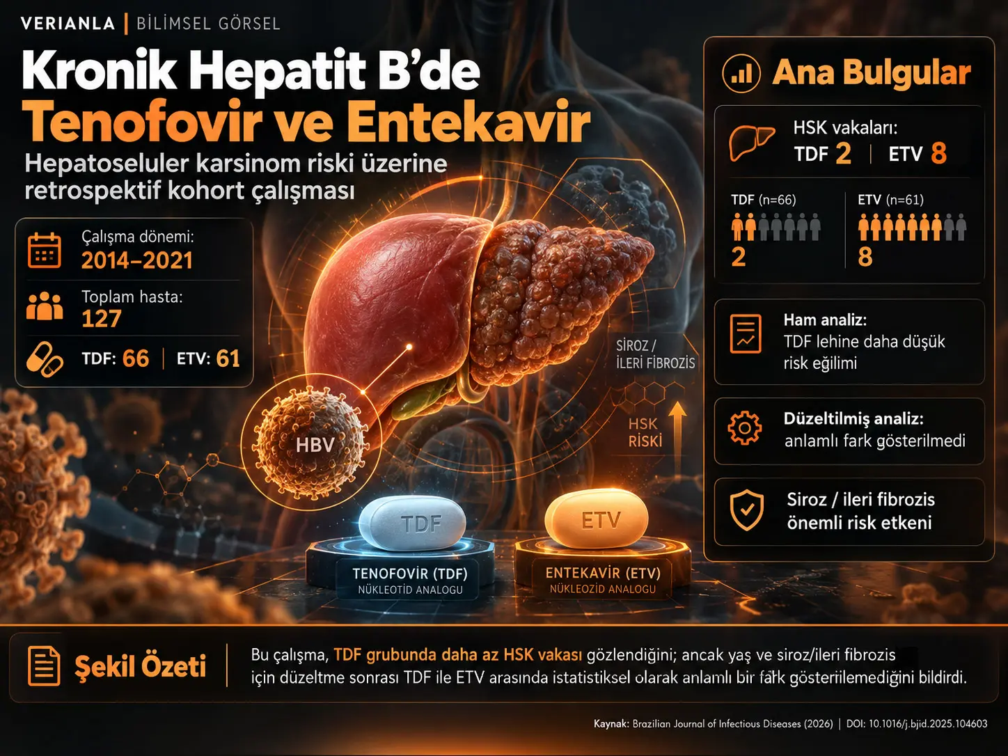 Kronik Hepatit B'de Tenofovir ve Entekavir: Güney Brezilya'daki Üçüncü Basamak Bir Hastanede Hepatoselüler Karsinom Riski Üzerine Retrospektif Kohort Çalışması