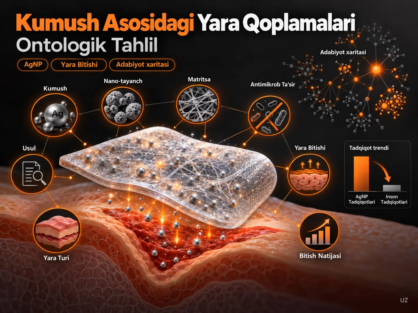 Kumush Asosidagi Yara Qoplamalari Tadqiqotlari: Ontologik Tahlil