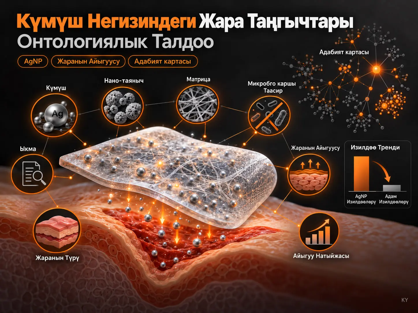 Күмүш Негизиндеги Жара Таңгычтары Боюнча Изилдөөлөр: Онтологиялык Талдоо