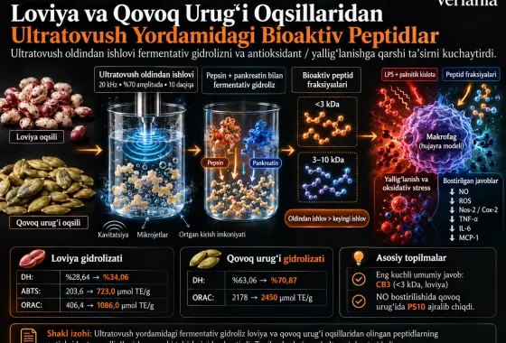 Loviya va Qovoq Urug‘i Oqsillaridan Ultratovush Yordamidagi Fermentativ Gidrolizatlar: Antioksidant va Yallig‘lanishga Qarshi Xususiyatlar