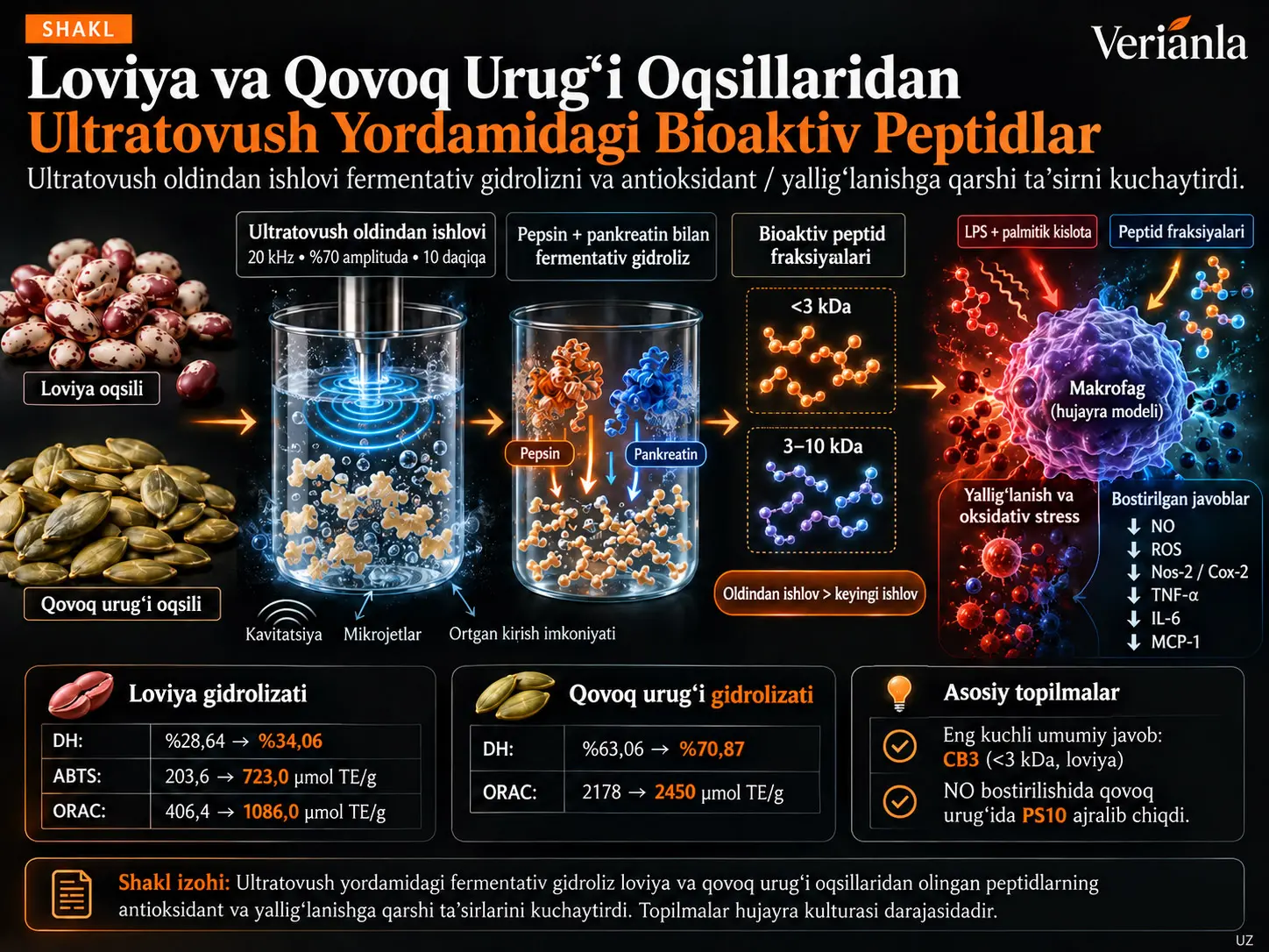 Loviya va Qovoq Urug‘i Oqsillaridan Ultratovush Yordamidagi Fermentativ Gidrolizatlar: Antioksidant va Yallig‘lanishga Qarshi Xususiyatlar