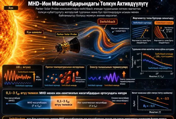 Магниттик Switchbackтерге Байланышкан MHD–Ион Масштабдарындагы Толкун Активдүүлүгү