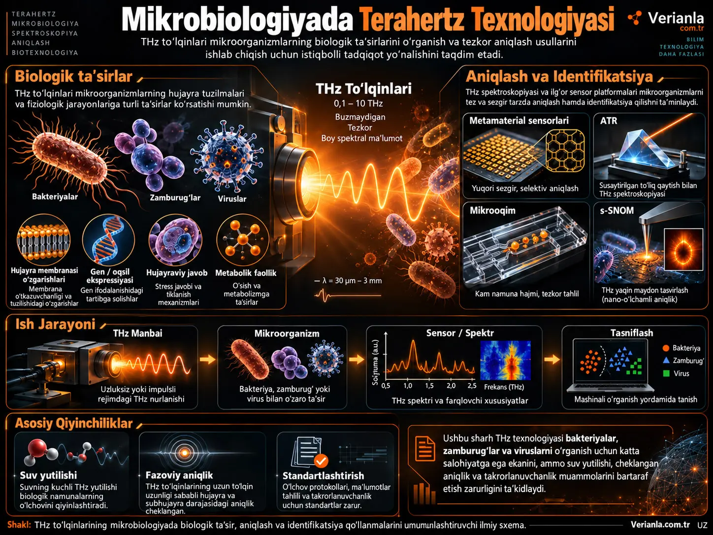 Mikrobiologiyada Terahertz Texnologiyasi Tadqiqotlaridagi Rivojlanishlar
