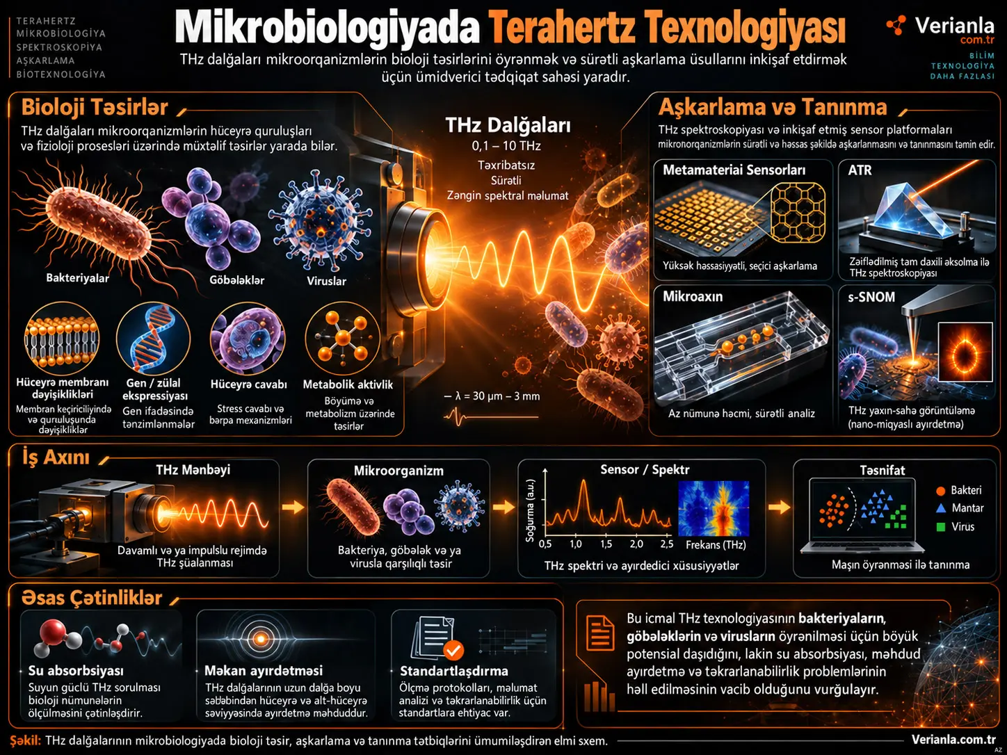 Mikrobiologiyada Terahertz Texnologiyası Tədqiqatlarında İnkişaflar