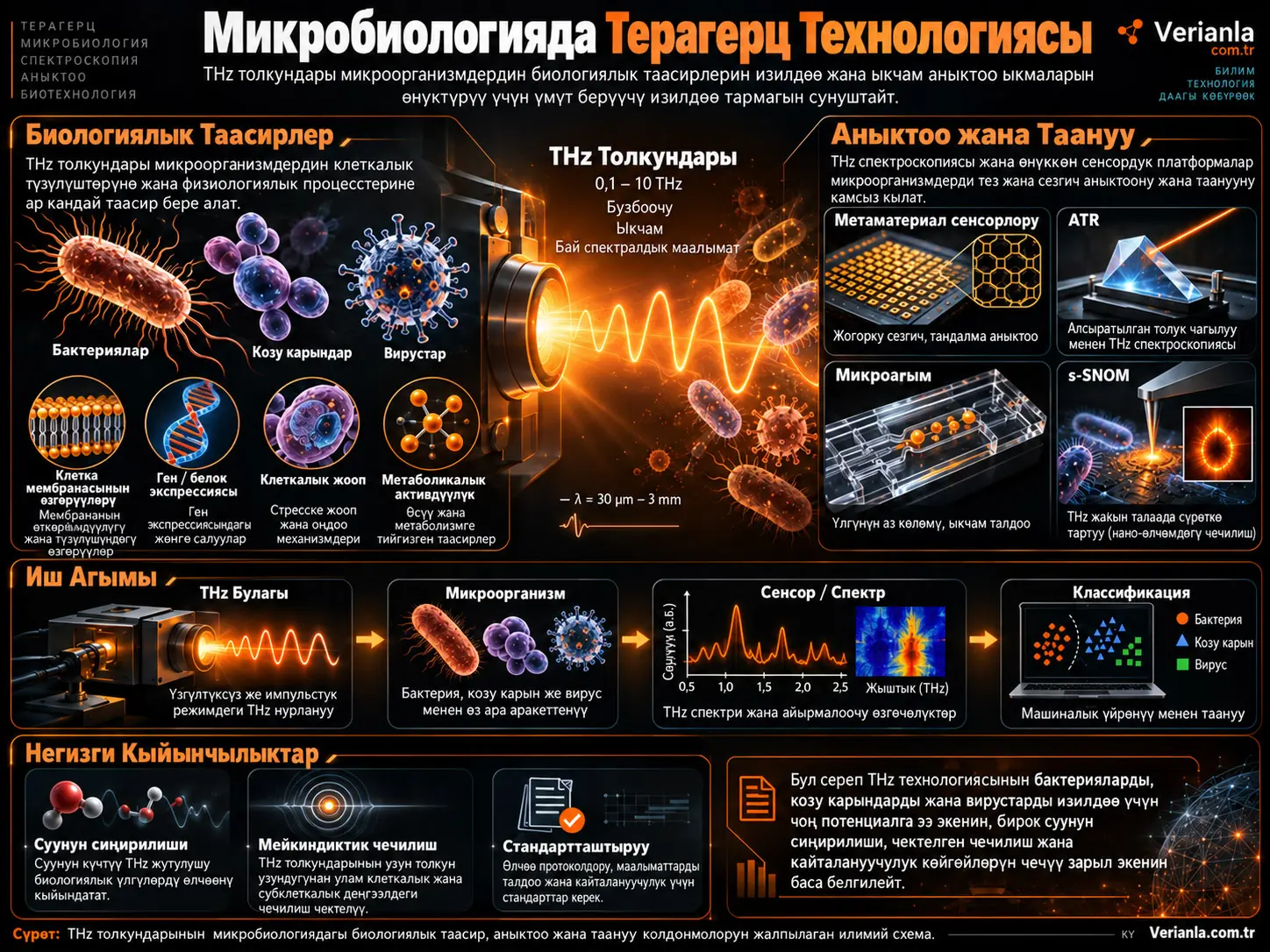 Микробиологиядагы Терагерц Технологиясы Изилдөөлөрүндөгү Өнүгүүлөр
