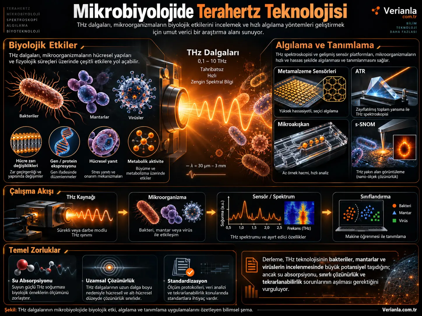 Mikrobiyolojide Terahertz Teknolojisi Araştırmalarındaki Gelişmeler