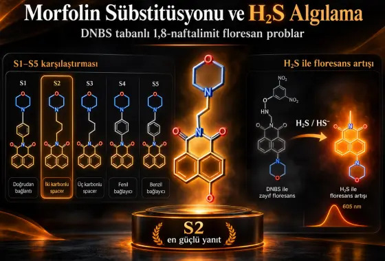 Morfolin Sübstitüsyonunun H₂S Tespiti İçin DNBS Tabanlı 1,8-Naftalimit Floresan Problar Üzerindeki Etkisi
