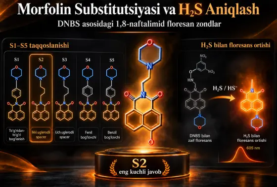 Morfolin Substitutsiyasining H₂S Aniqlash uchun DNBS Asosidagi 1,8-Naftalimit Floresans Zondlariga Ta’siri