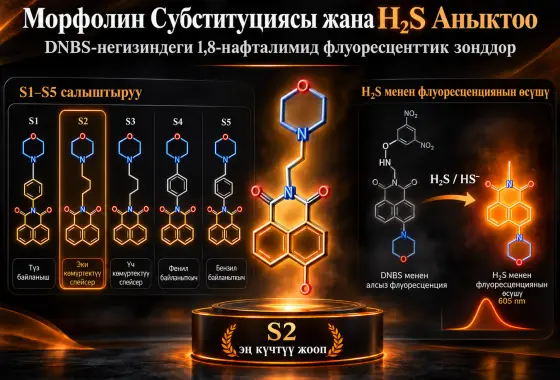 Морфолин Субституциясынын H₂S Аныктоо Үчүн DNBS Негизиндеги 1,8-Нафталимид Флуоресценциялык Зонддорго Таасири